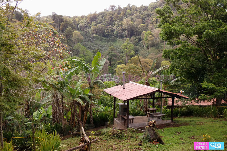 ecologe